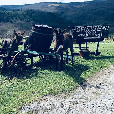 Apartamento Agroturizam Toni Motovun Exterior foto