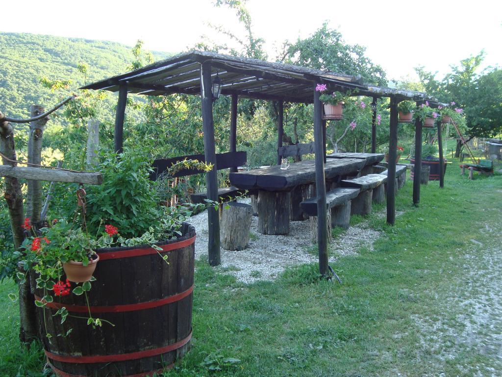 Apartamento Agroturizam Toni Motovun Habitación foto
