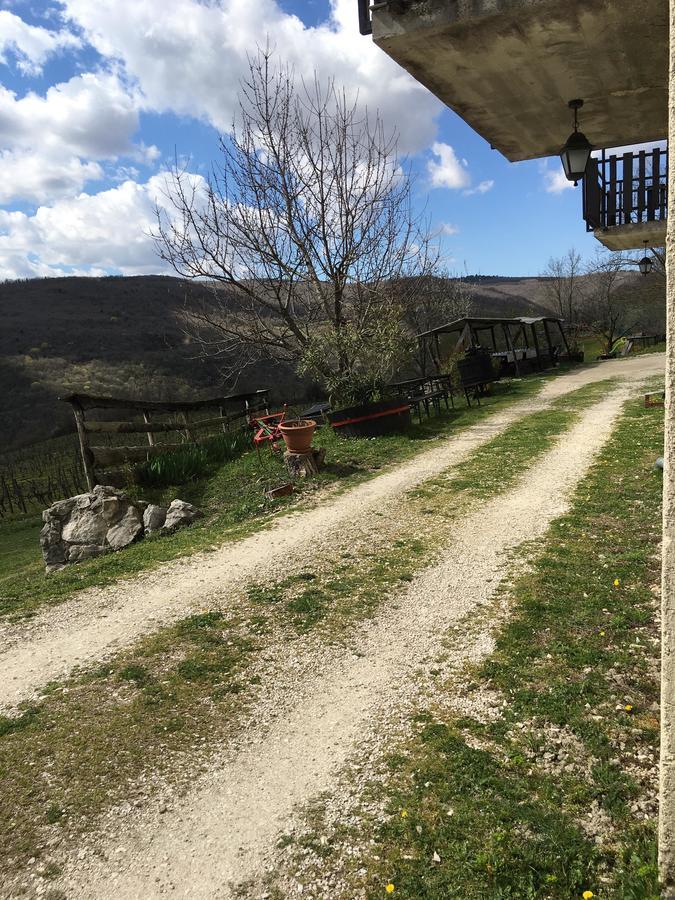 Apartamento Agroturizam Toni Motovun Exterior foto